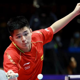 让它在搜索 让它在搜索