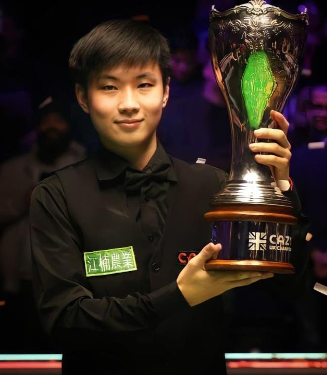 引发了不少 引发了不少