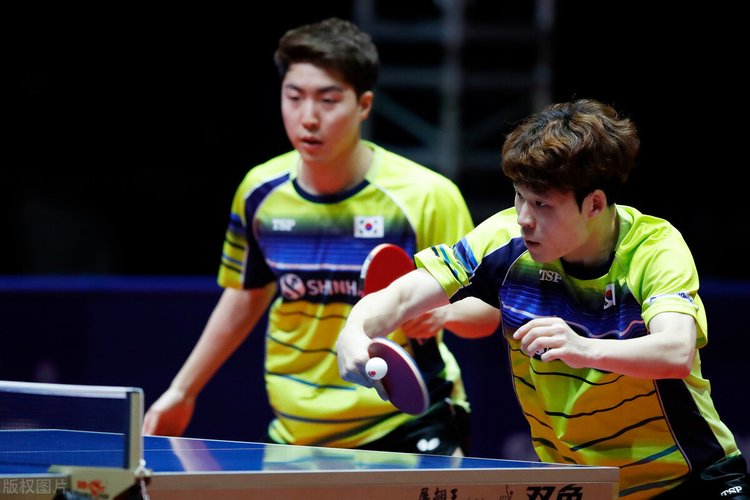 反应速度 反应速度