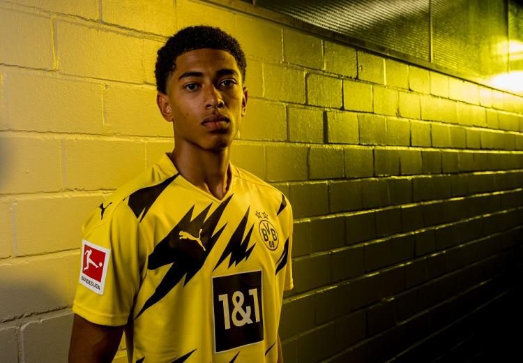 号位形成肋 号位形成肋